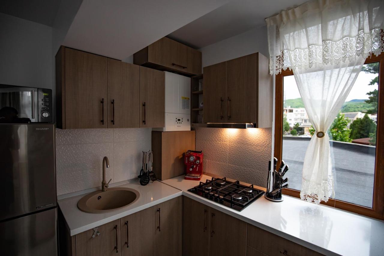 Natalia Apartment Tîrgu Ocna